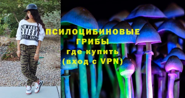 круглые Алзамай