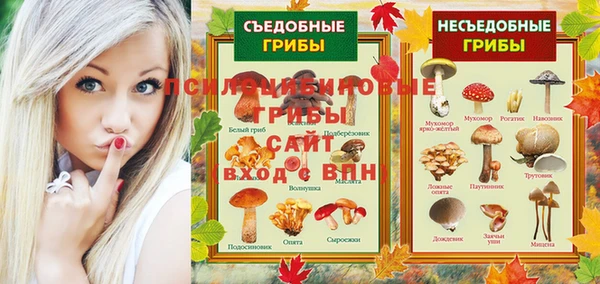 круглые Алзамай